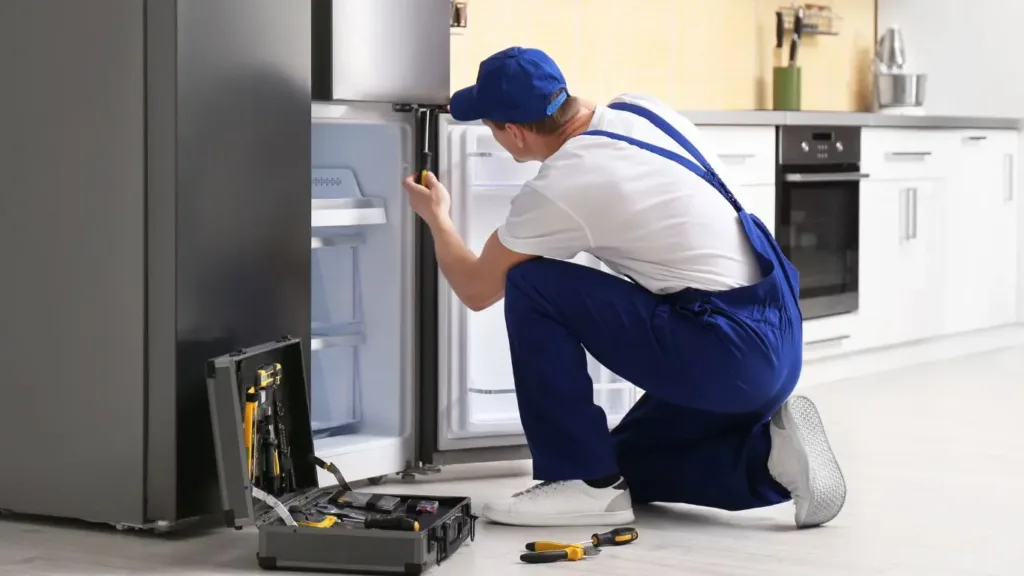Bosch fridge repair technician Cape Town